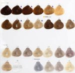 Alfaparf Milano Evolution of Color Farba do włosów 5.32 60ml