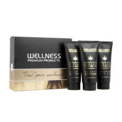 Wellness Premium Products Wellplex Zestaw regenerujący do włosów łamliwych