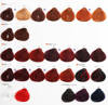 Alfaparf Milano Evolution of Color Farba do włosów 2 60ml